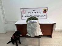 Sinop'ta 2,68 Kilo Esrar Ele Geçti Açiklamasi 1 Gözalti