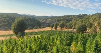 Uyuşturucu tacirlerine ‘Narko/Terör’ darbesi