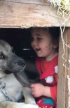 Erzurum'da Küçük Çocugun Köpek Sevgisi Görenleri Gülümsetti