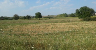 Hazır arsayı al, evini yap! İşte konut arsası ödeme planı: Kimler başvurabilir?