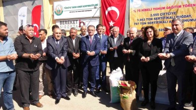 Van'da 2 Bin 555 Çiftçiye Tohum Destegi