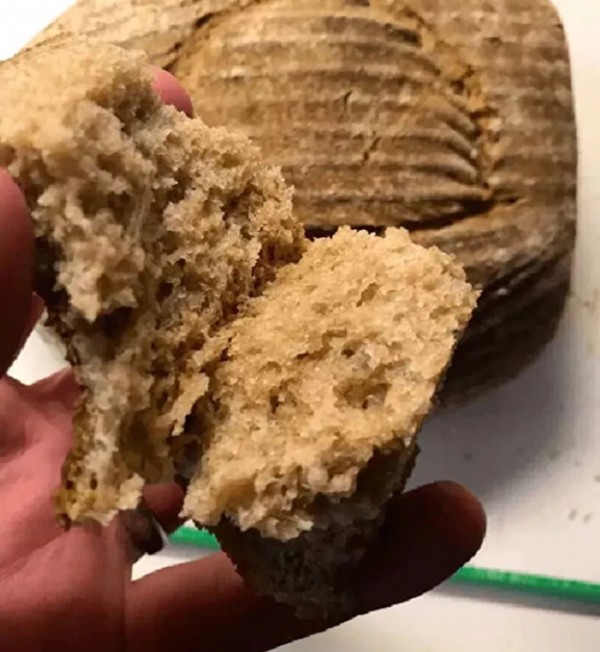 4 bin 500 yıllık maya ile ekmek pişirdi: Her anını paylaştı