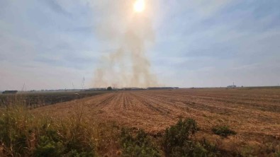 25 Bin Ton Misir Sapi Balyasi Kül Oldu