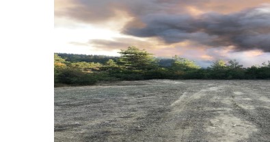 Bursa'nin Orhaneli Ilçesinde Orman Yangini