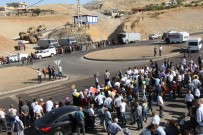 Orman Kesimlerini Bahane Eden HDP'liler Cudi Dagi'na Yürümek Istedi