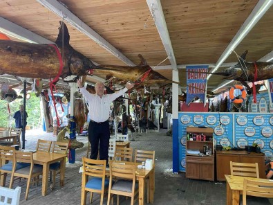 Türkiye Deniz Canlilari Müzesi'ne Duygusal Ziyaret