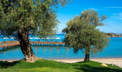 Rixos Olive Fest Için Geri Sayim Basladi