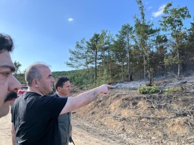 Tokat'ta 5 Hektar Ormanlik Alan Zara Gördü