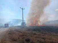 Tosya'da Aniz Yangininda Çeltik Tarlalari Zarar Gördü