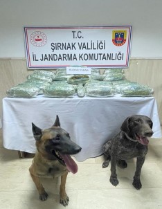 28 Kilo 542 Gram Kubar Esrar 'Yüzey' Ve 'Siklet'in Burnundan Kaçmadi
