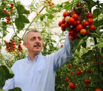 Büyüksehirden Çiftçiye 86 Milyonluk Mazot Ve Tohum Destegi