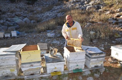 Siparisler Kovandan Çikmadan Aliniyor, Kilogrami 300 TL'den Satiliyor