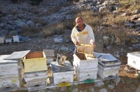 Siparisler Kovandan Çikmadan Aliniyor, Kilogrami 300 TL'den Satiliyor