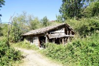 Susuz Kalan 500 Yilik Degirmen Çürümeye Yüz Tuttu