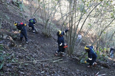 Ordu'da FINVER Basarisi