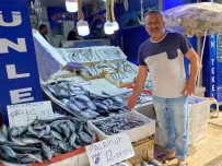 Sinop'ta Az Miktarda Avlanan Hamsinin Kilosu 50 TL