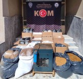 Tekirdag'da Makaron Ve Tütün Operasyonu