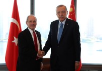 Cumhurbaskani Erdogan, ABD'li Cumhuriyetçi Senatör Risch'i Kabul Etti