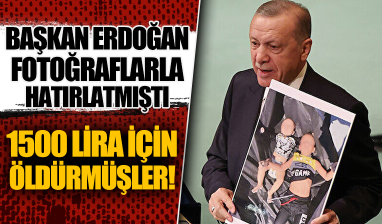 Cumhurbaşkanı Erdoğan'ın fotoğrafla hatırlatmıştı: Kişi başı 1500 Euro almışlar