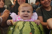 Develerle Sokaklarda Tasindi, Diyarbakir 12. Karpuz Festivalini Coskuyla Kutladi