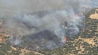 İzmir'de korkutan orman yangını