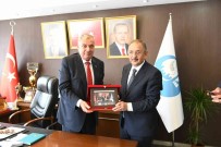 Özhaseki, Antakya Belediyesinde