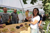 Üzüme Dair Her Sey Bu Senlikte