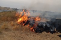 Adir Adasi'ndaki Yangin Bugün Tekrar Basladi