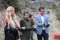 Bolu'da 650 Keklik Dogaya Salindi