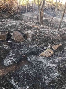 Eski Mezarlikta Çikan Yangin Korkuttu