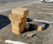 Flamingolari Para Için Telef Eden 3 Kisiye 322 Bin TL Ceza Kesildi