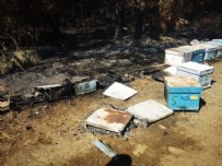 İsmail Çataklı Marmaris yangınını sığınmacıların çıkardığını iddia eden Ümit Özdağ'a görüntülerle cevap verdi: İzle yalancı