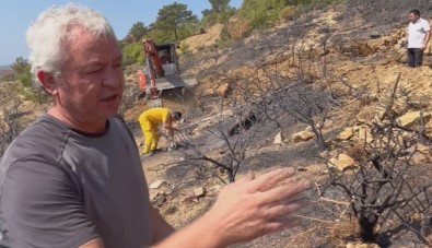 Prof. Dr. Yildiz Dikkat Çekti Açiklamasi 'Yanan Ormanlardaki En Büyük Tehlike Besin Kaybi'