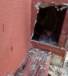 Sivas'ta Baca Olugunda Mahsur Kalan Yavru Kediler Itfaiye Ekiplerince Kurtarildi