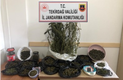 Tekirdag'in 5 Ilçesinde Uyusturucu Operasyonu