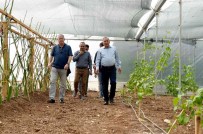 Tibbi Aromatik Bitki Üretim Tesisi Açildi