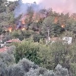 Ula'da Orman Yangini Çikti