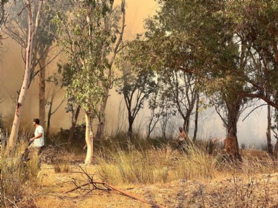 Antalya'daki yangında 15 hektar kül oldu