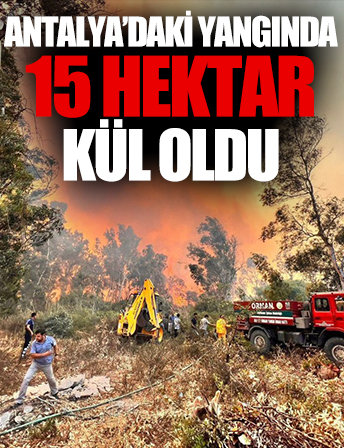 Antalya'daki yangında 15 hektar kül oldu