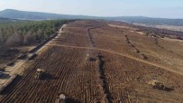 Çanakkale'de Küle Dönen 580 Hektar Alanda, 1 Milyon Fidan Toprakla Bulusturuluyor