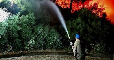 Marmaris’teki orman yangınının boyutu ortaya çıktı