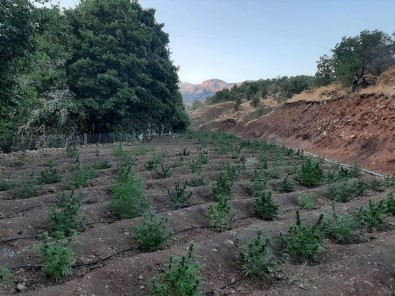 Eren Abluka'da 62 Ayri Noktaya Operasyon Açiklamasi Yüklü Miktarda Uyusturucu Ele Geçirildi