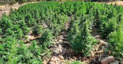 İçişleri Bakanlığı duyurdu: Terör örgütüne büyük darbe...