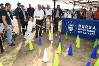 Büyüksehir Oyunu Sokaga Tasidi