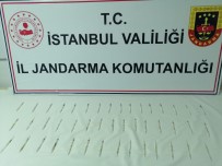 Jandarmadan Operasyon Açiklamasi 45 Tüp Kobra Yilani Zehri Ele Geçirildi