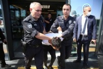 Son dakika: Eskişehir’de akraba vahşeti! Evi bastılar: 2 ölü!
