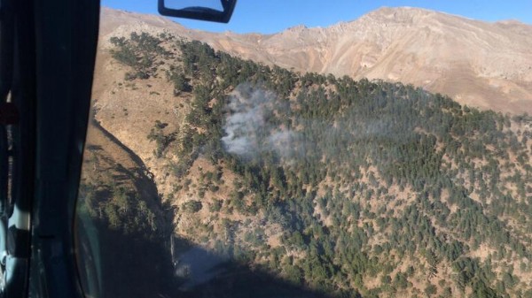 Adana'da 2 ilçede orman yangını