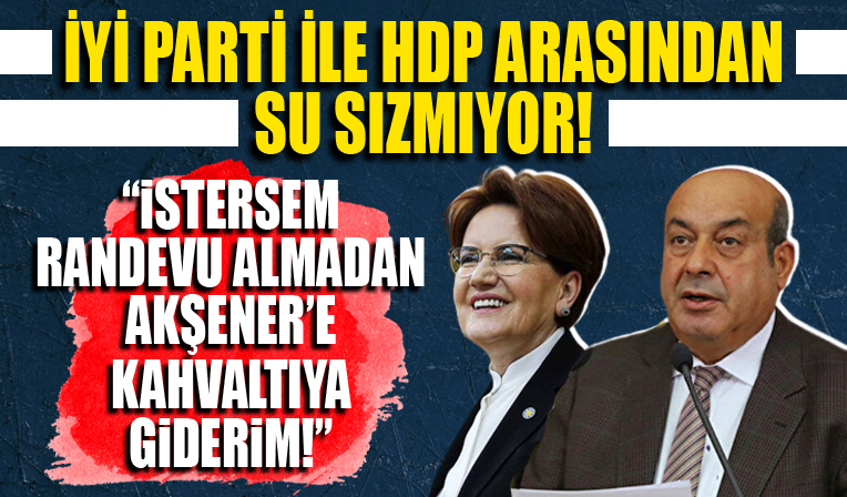 HDP'li Hasip Kaplan! 'İstersem randevu almadan Akşener'e kahvaltıya giderim'
