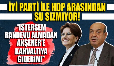 HDP'li Hasip Kaplan! 'İstersem randevu almadan Akşener'e kahvaltıya giderim'