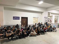 Marmaris'te 85 Düzensiz Göçmen Yakalandi